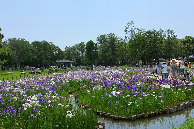 水元公園_e0121110_2216670.jpg