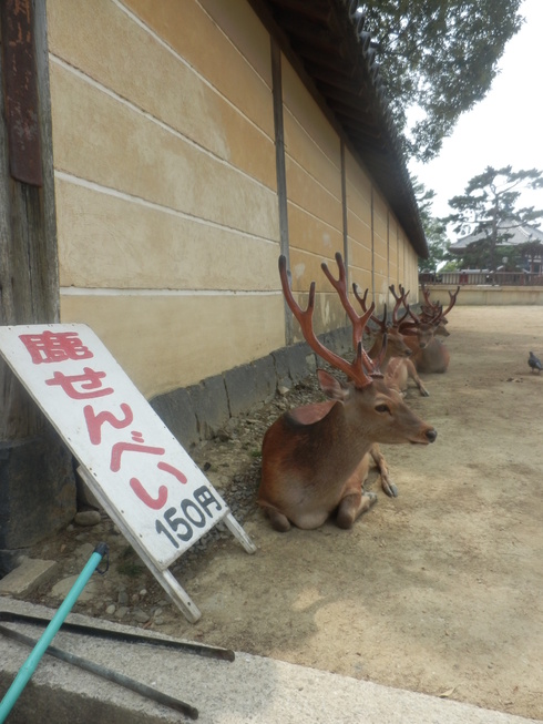 行列のできるお煎餅屋さん！_c0062511_22383651.jpg