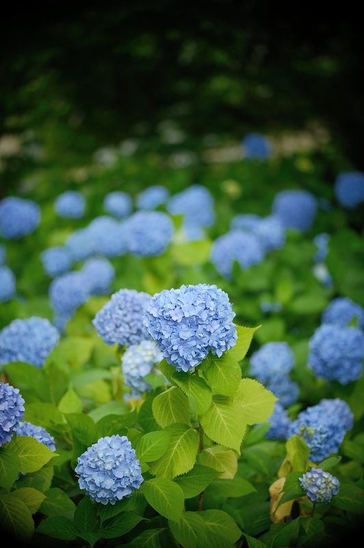 f0032011_19173346.jpg
