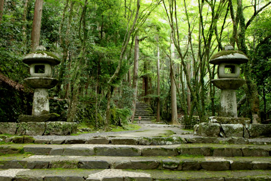 栂ノ尾高山寺　緑したたる_e0048413_20262031.jpg