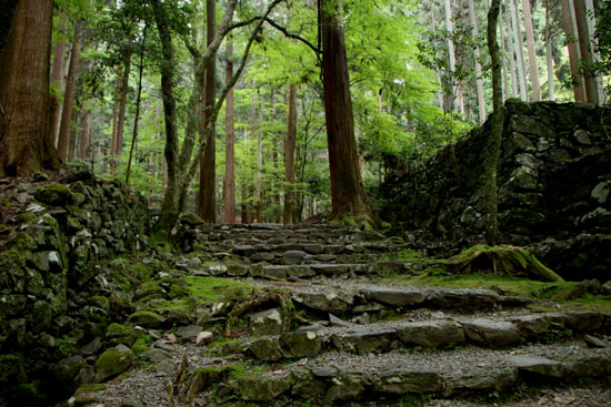 栂ノ尾高山寺　緑したたる_e0048413_20264018.jpg