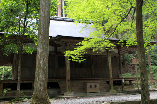 栂ノ尾高山寺　緑したたる_e0048413_2027089.jpg