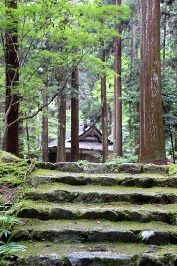 栂ノ尾高山寺　緑したたる_e0048413_20272338.jpg