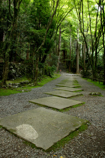 栂ノ尾高山寺 緑したたる_e0048413_20272981.jpg