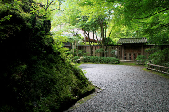 栂ノ尾高山寺 緑したたる_e0048413_20274694.jpg