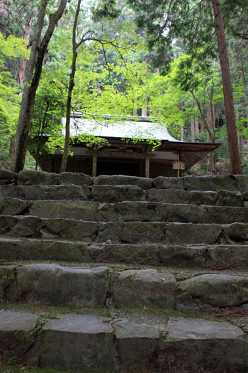 栂ノ尾高山寺　緑したたる_e0048413_2027518.jpg