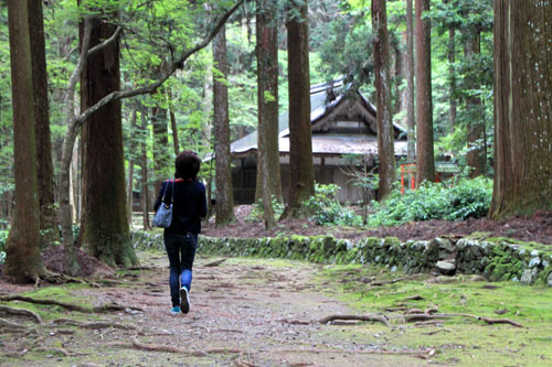 栂ノ尾高山寺　緑したたる_e0048413_2028111.jpg