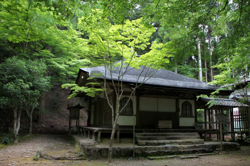 栂ノ尾高山寺　緑したたる_e0048413_20283494.jpg