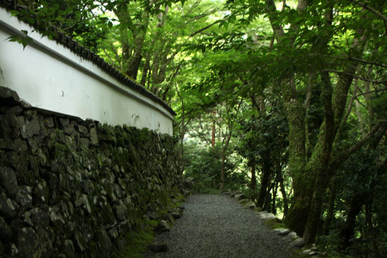 栂ノ尾高山寺 緑したたる_e0048413_20285892.jpg