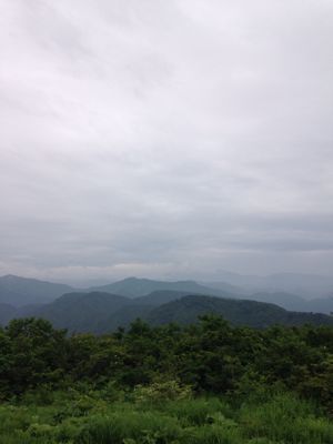 6月11日 奥獅子吼山_e0132713_11304838.jpg