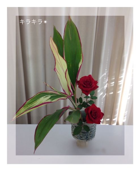 お花のある暮らし&新刊到着!_f0354014_18225519.jpg