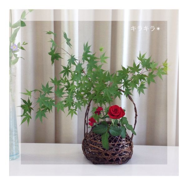 お花のある暮らし&新刊到着!_f0354014_18225654.jpg