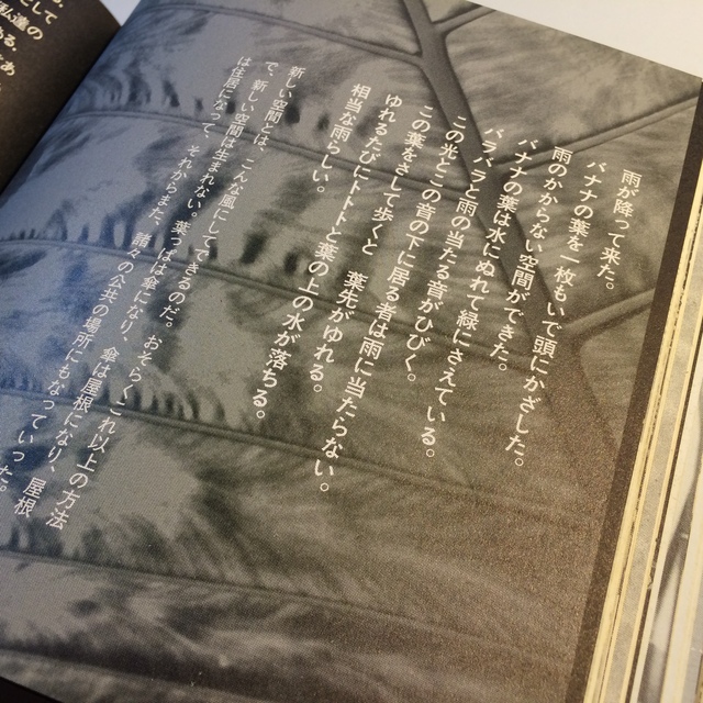 内容書籍「Discont : 不連続統一体」吉阪隆正 / アルキテクト / U研究室