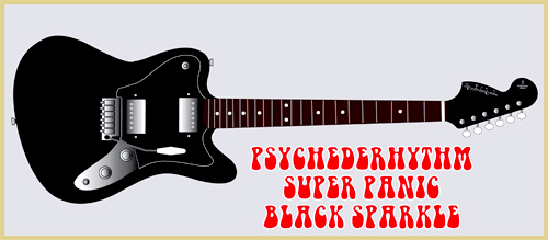 来月下旬に「黒ラメのSuper Panic」を発売しますッ!_e0053731_1721276.jpg