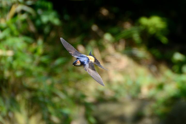b0191934_23514593.jpg