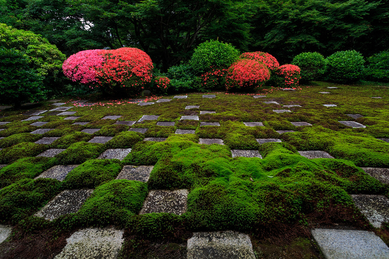 サツキ咲く東福寺・八相の庭_f0155048_22463356.jpg