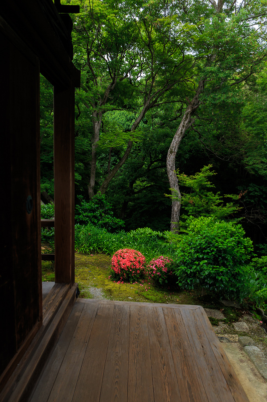 サツキ咲く東福寺・八相の庭_f0155048_2254354.jpg