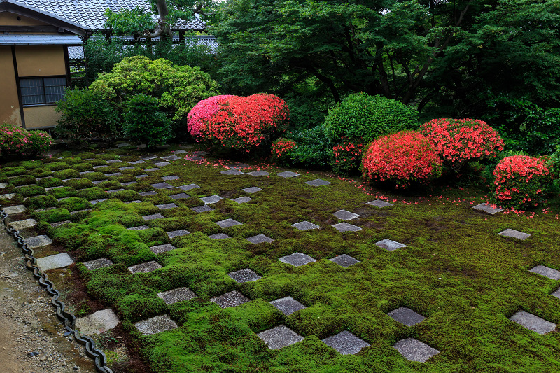 サツキ咲く東福寺・八相の庭_f0155048_22555992.jpg