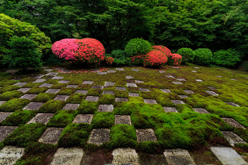 サツキ咲く東福寺・八相の庭_f0155048_22574624.jpg