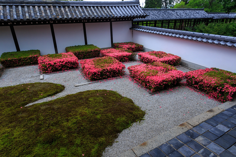 サツキ咲く東福寺・八相の庭_f0155048_2334185.jpg