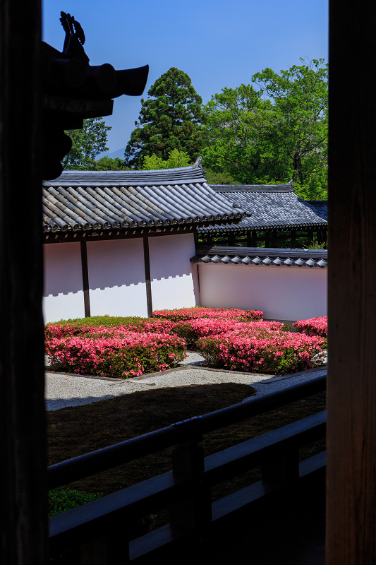 サツキ咲く東福寺・八相の庭_f0155048_2335513.jpg