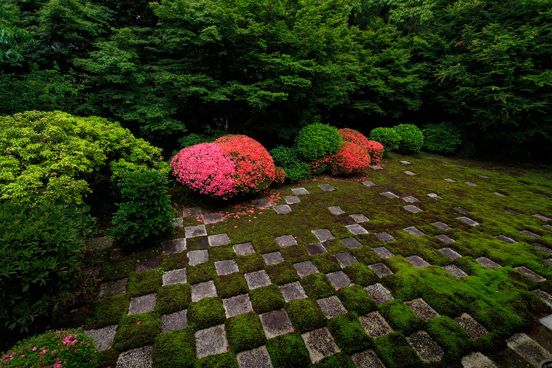 サツキ咲く東福寺・八相の庭_f0155048_23363.jpg