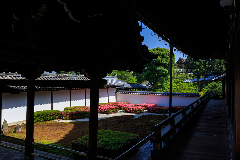 サツキ咲く東福寺・八相の庭_f0155048_2343468.jpg