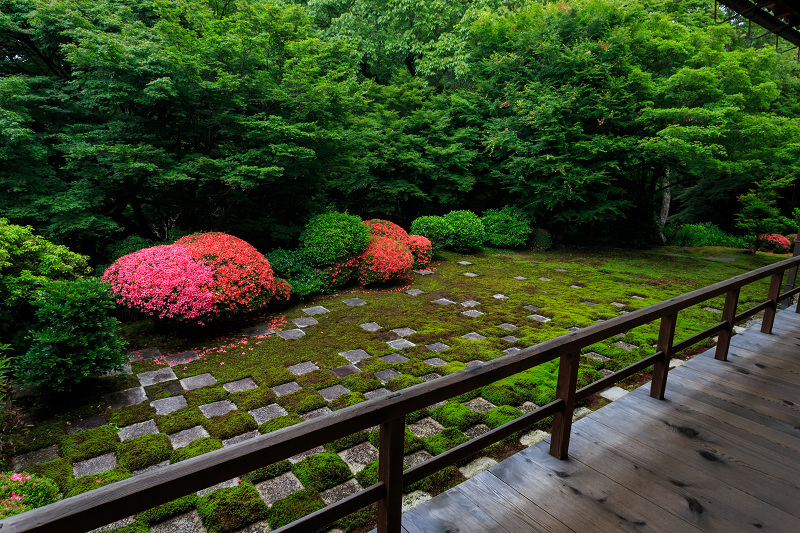 サツキ咲く東福寺・八相の庭_f0155048_2353769.jpg