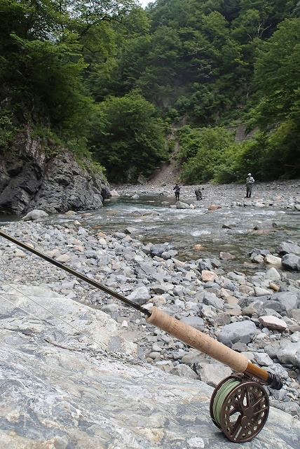 毛虫の少なそうな渓流へ・・・・・_e0272349_846502.jpg