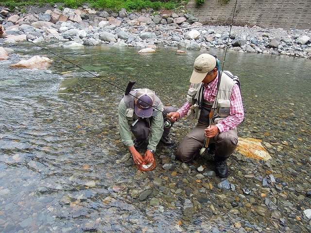 毛虫の少なそうな渓流へ・・・・・_e0272349_926966.jpg