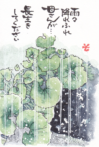 e0295551_2384080.png