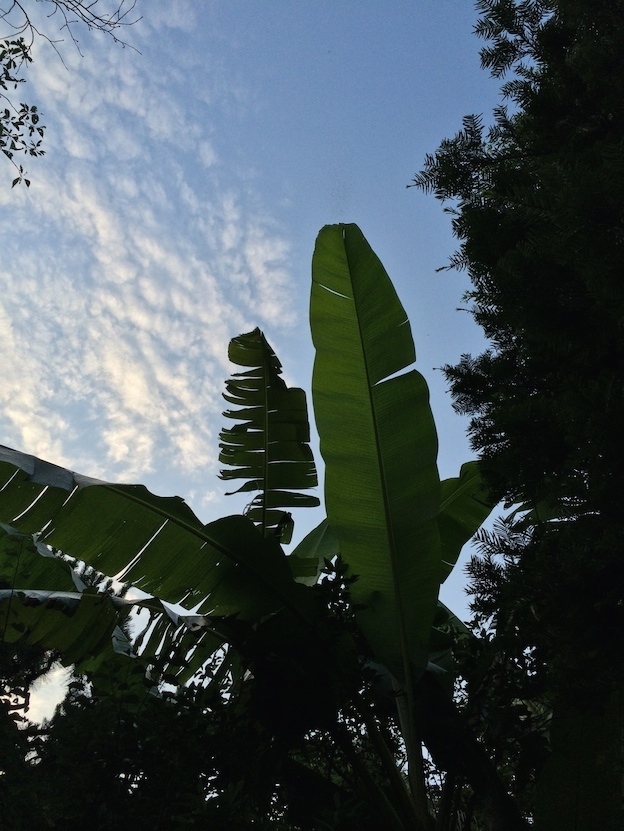 c0113755_01404954.jpg