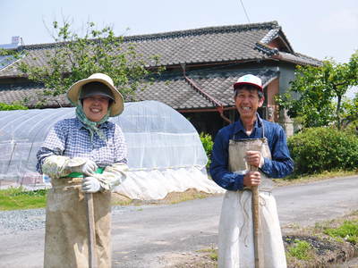 七城米 長尾農園 美しすぎる苗床で今年も最高のお米を育てます!!_a0254656_17533629.jpg