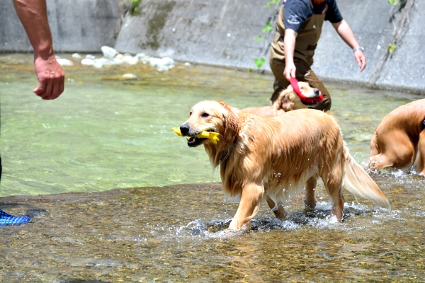 ののこ兄弟と水遊び　その1_f0297764_19443215.jpg