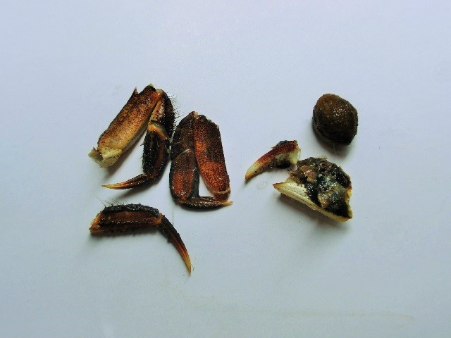 c0105569_1172391.jpg