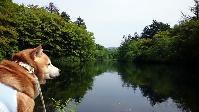 b0274270_10535510.jpg