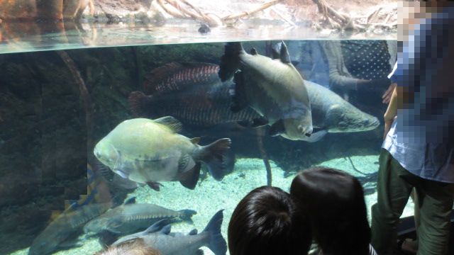 e0212073_2138044.jpg