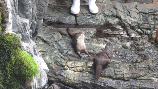 e0212073_21401578.jpg