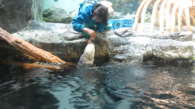 e0212073_21404712.jpg