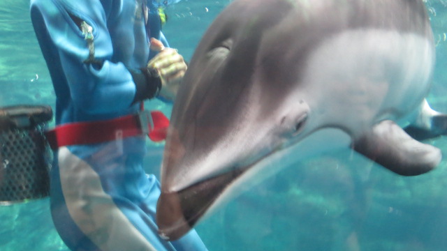 e0212073_21411425.jpg