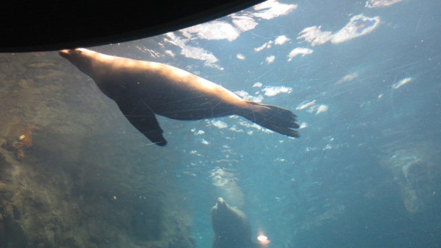 e0212073_21413685.jpg