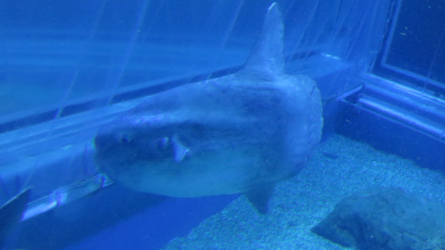 e0212073_21415373.jpg