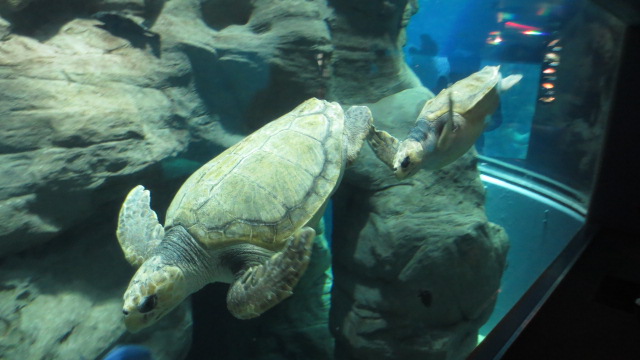 e0212073_214224100.jpg
