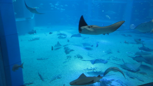 e0212073_2142539.jpg