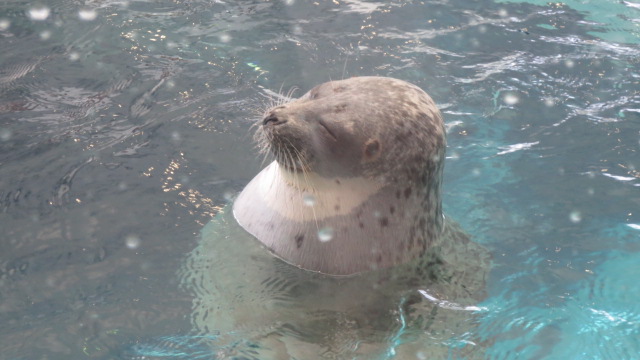 e0212073_21433886.jpg