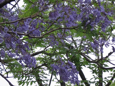 f0259373_09535409.jpg