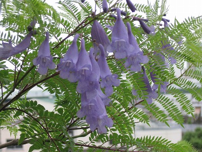 f0259373_09542332.jpg
