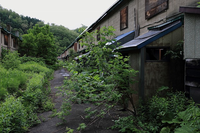 d0255874_23515087.jpg