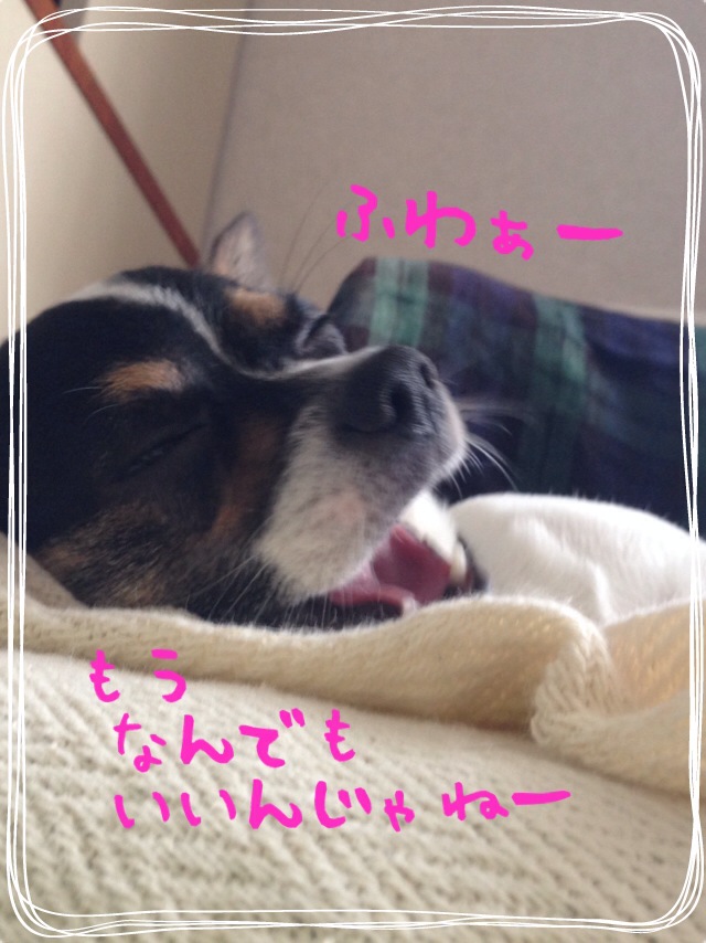 f0248782_1243503.jpg