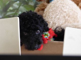 2014年6月20日 しゃべらない日。。。あんまり_b0098584_16541064.jpg